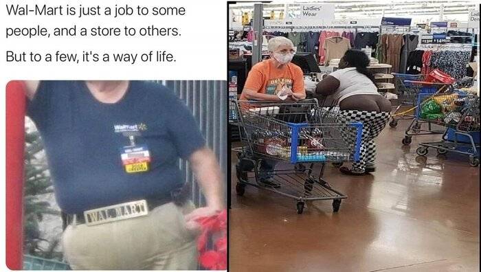 wally world.jpg