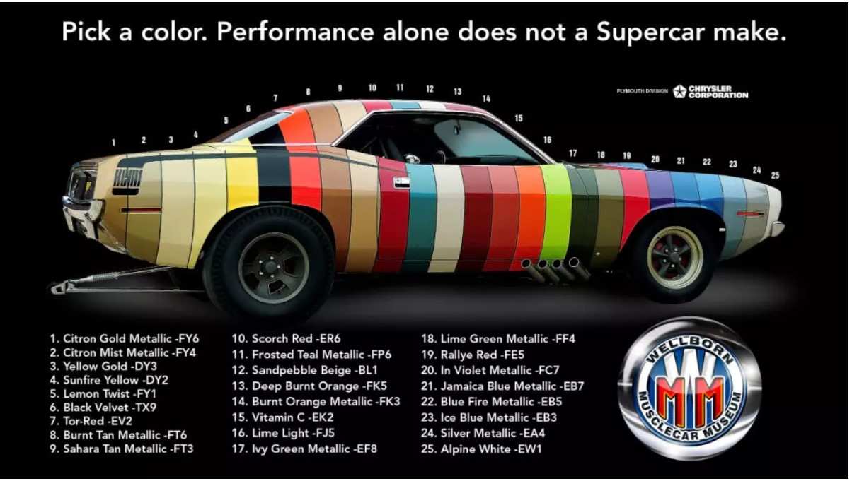 Wellborn ColorChip Cuda Flyer.jpg