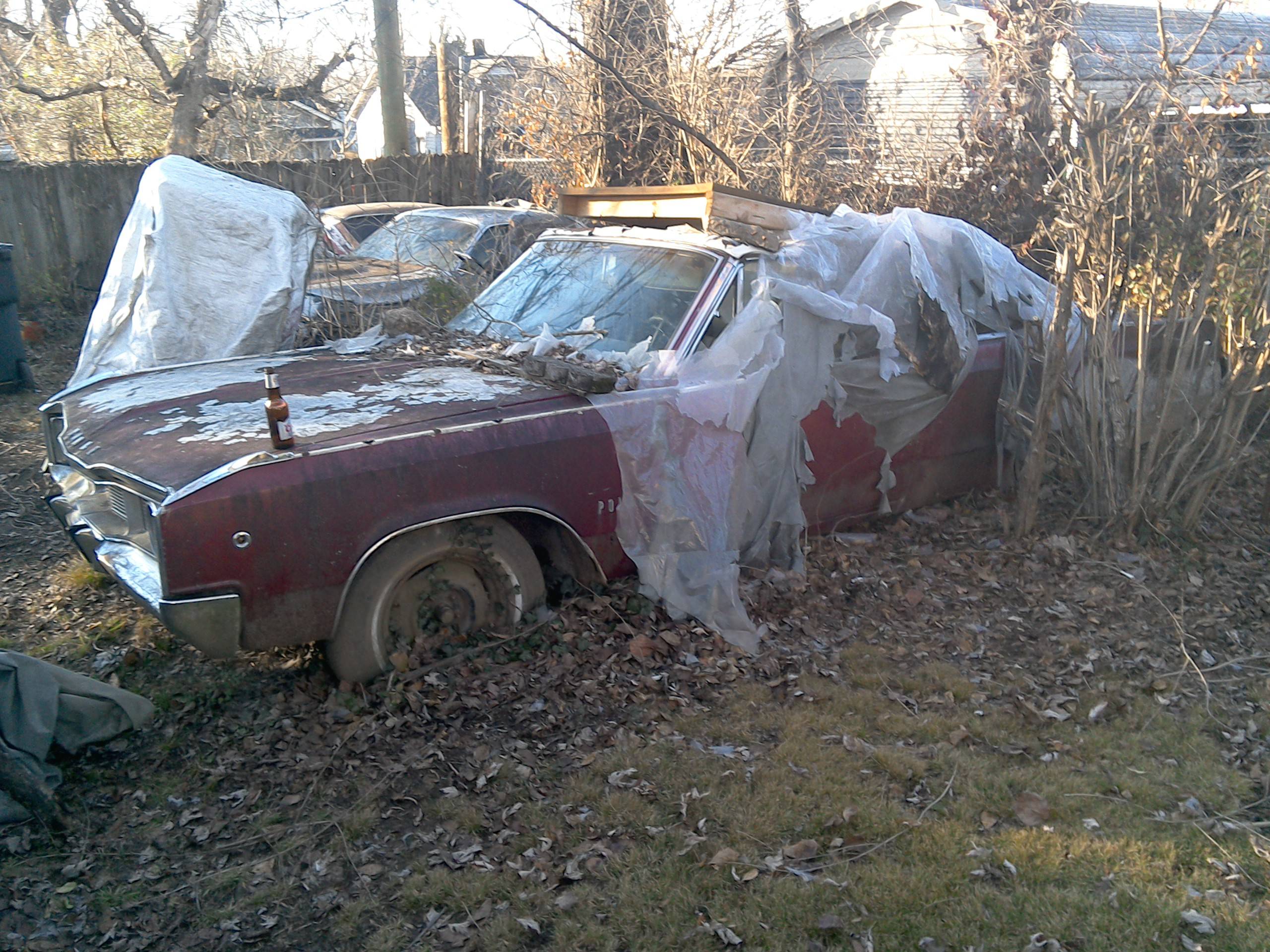 WIN_20210126_154354.JPG