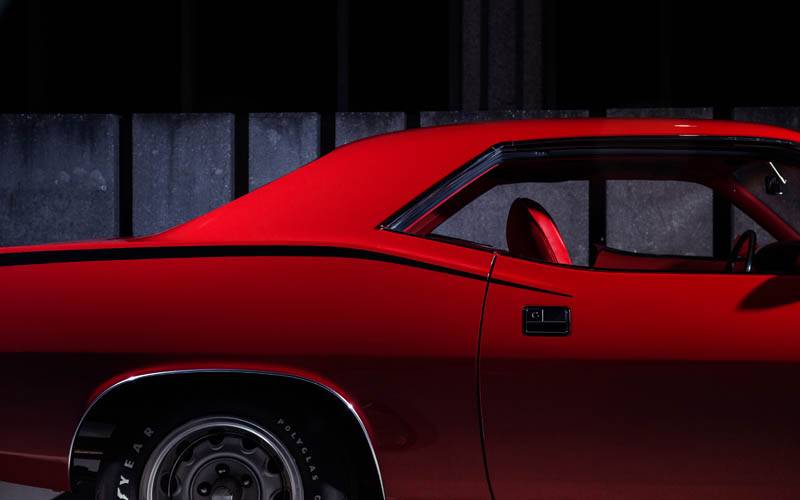 WS8A2195 800 x 600.jpg