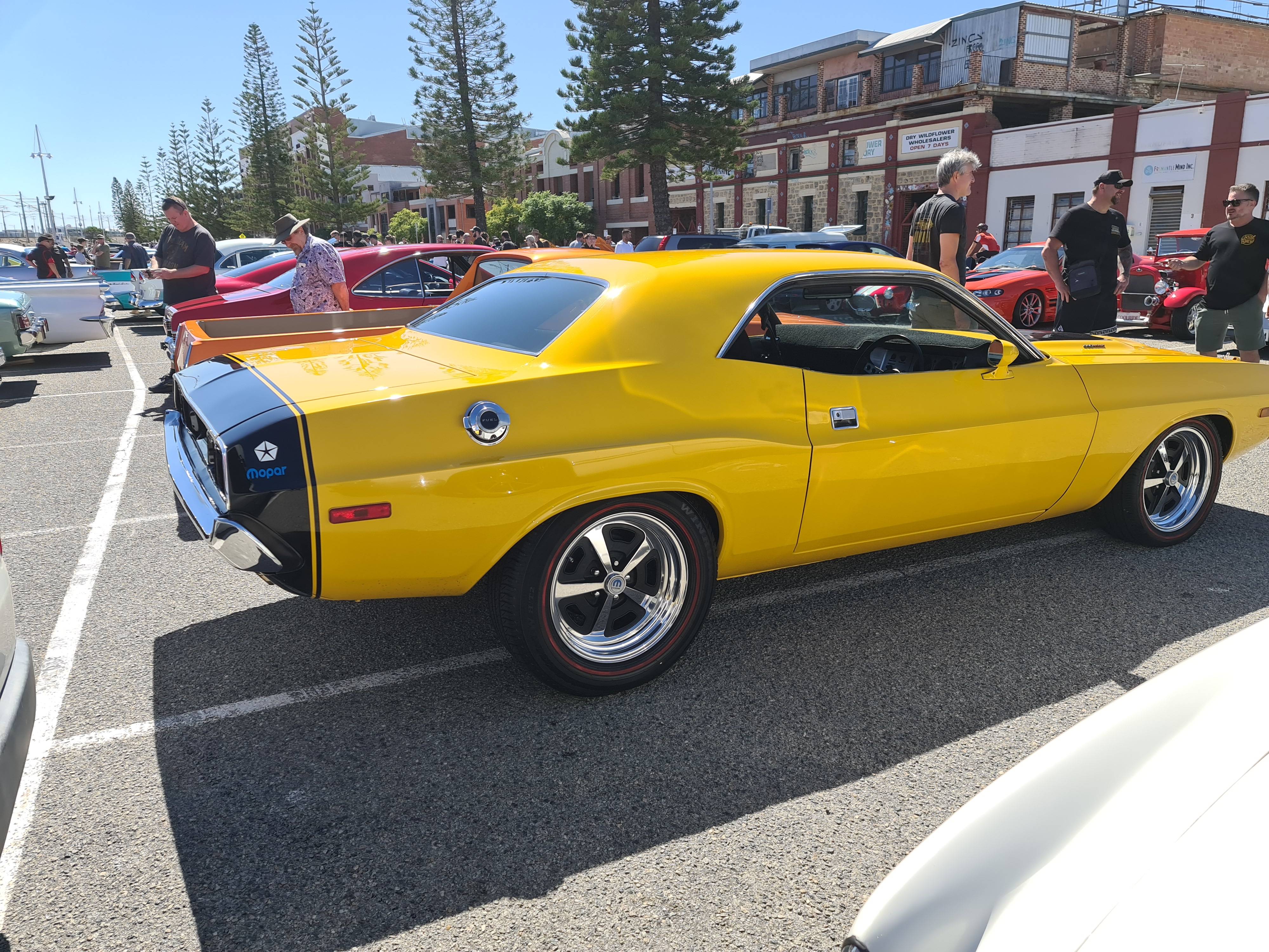 Yellow4.jpg
