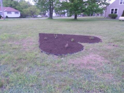 DSCN0373 (480x360).jpg DSCN0373 (480x360).jpg