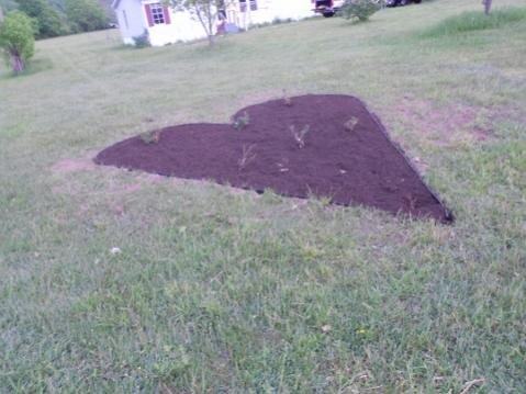 DSCN0372 (480x360).jpg DSCN0372 (480x360).jpg