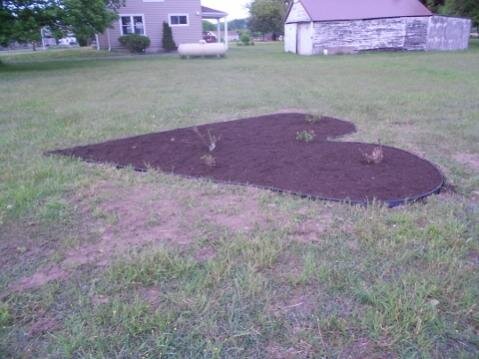 DSCN0370 (480x360).jpg DSCN0370 (480x360).jpg