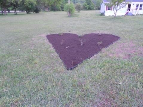 DSCN0371 (480x360).jpg DSCN0371 (480x360).jpg