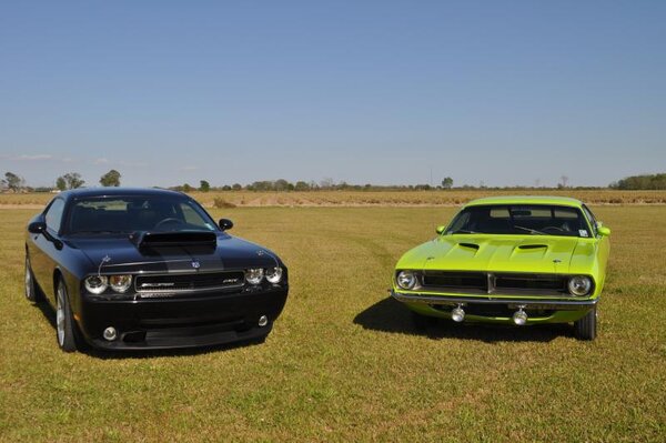 DSC_0186.jpg DSC_0186.jpg