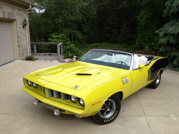 71CuriousYellowCuda'1.jpg