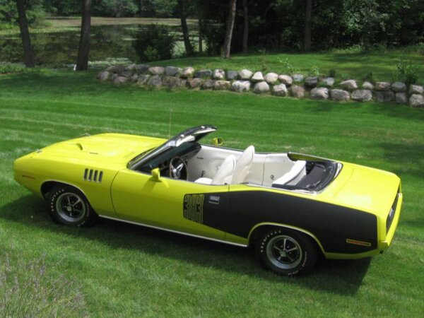 71CuriousYellowCuda'3.jpg