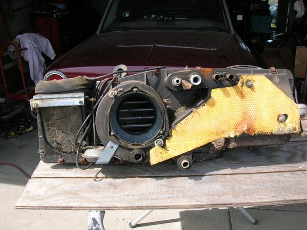 DSCN1552.jpg DSCN1552.jpg