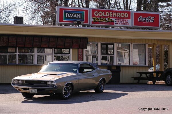 DSC_1643.jpg DSC_1643.jpg