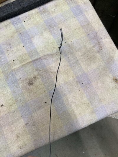 IMG_6511.jpg IMG_6511.jpg