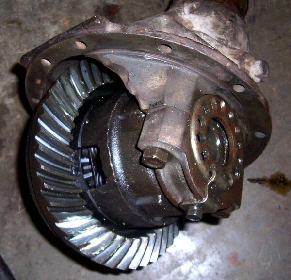 391 rearend.jpg 391 rearend.jpg