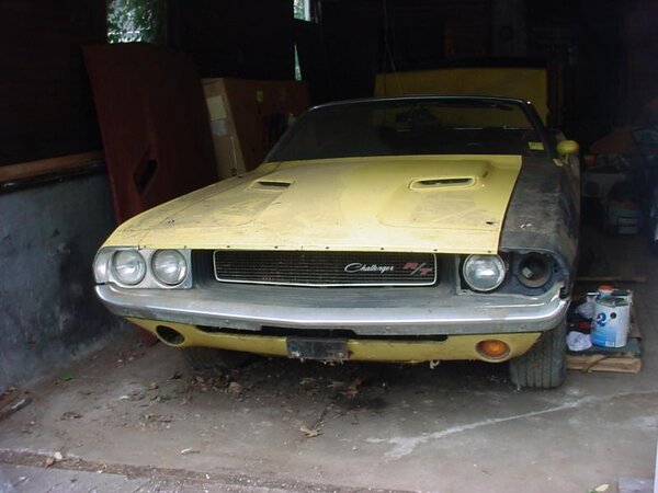 Dino pic 24.jpg Dino pic 24.jpg