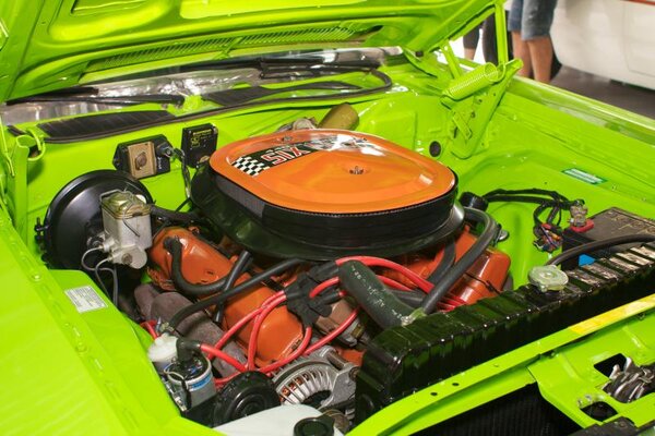 IMG_6545.jpg IMG_6545.jpg