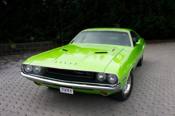 IMG_6629.jpg IMG_6629.jpg