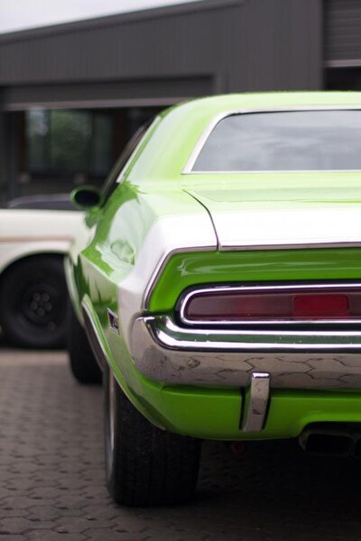 IMG_6765.jpg IMG_6765.jpg