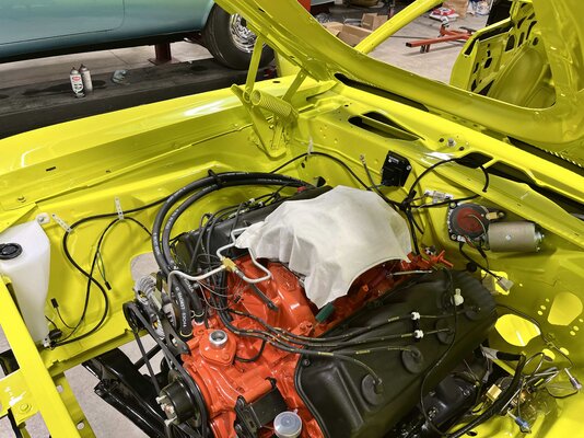 IMG_7444.jpeg IMG_7444.jpeg