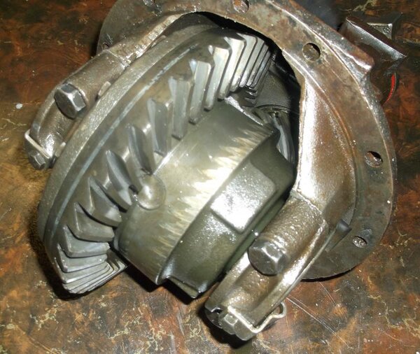 355 suregrip.jpg 355 suregrip.jpg