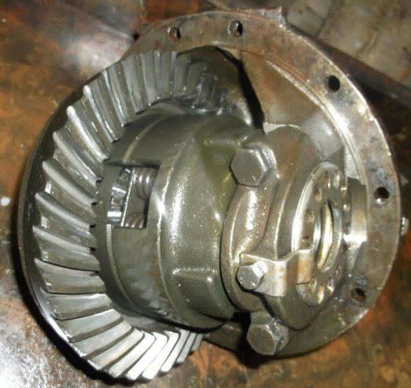 DSCF2023_NEW.jpg DSCF2023_NEW.jpg