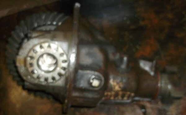 DSCF2024_NEW.jpg DSCF2024_NEW.jpg