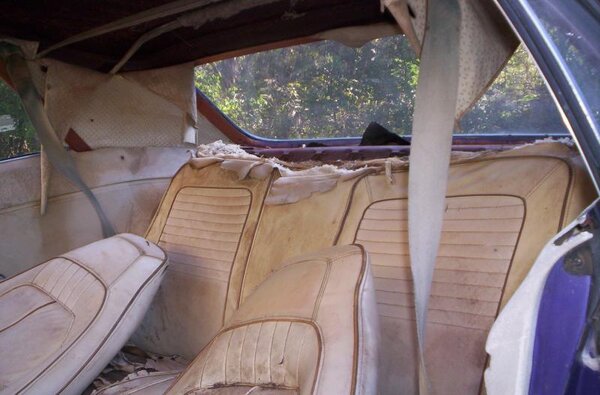 photo 3 (2).jpg photo 3 (2).jpg