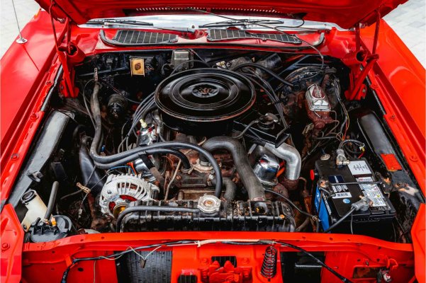 17544450_23.jpg 17544450_23.jpg