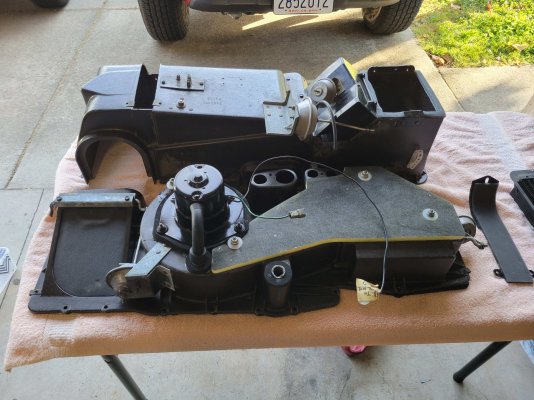 20210529_072933.jpg 20210529_072933.jpg