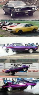 Evolution.jpg