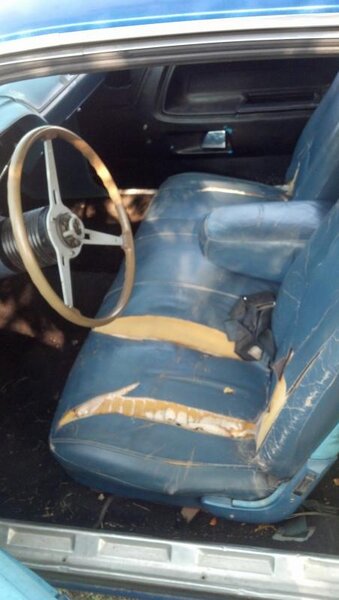 IMG_20130831_172201_757(1).jpg IMG_20130831_172201_757(1).jpg