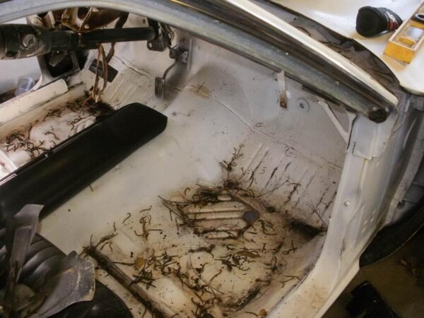 Resize of P5250034.jpg Resize of P5250034.jpg