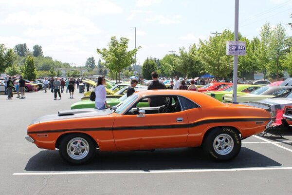 IMG_8974.jpg IMG_8974.jpg