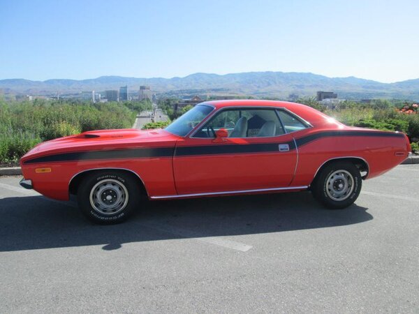 IMG_5247.jpg IMG_5247.jpg