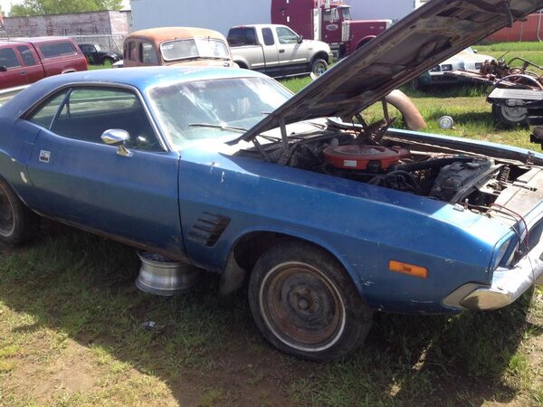 IMG_1304.jpg IMG_1304.jpg