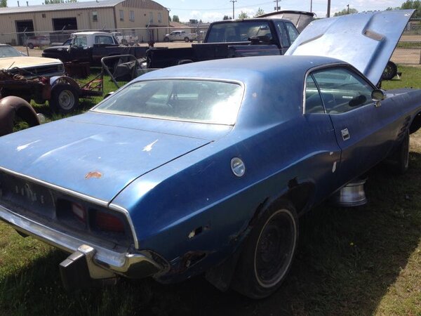 IMG_1305.jpg IMG_1305.jpg