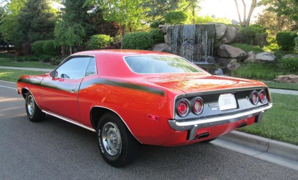 IMG_5038.jpg IMG_5038.jpg