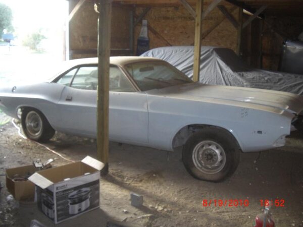 CIMG8787.jpg CIMG8787.jpg