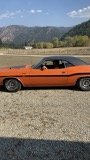 IMG_0908 - Copy.JPG