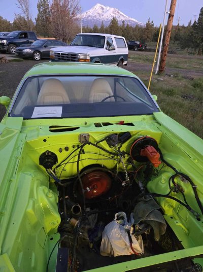UnderHoodPaint.jpg