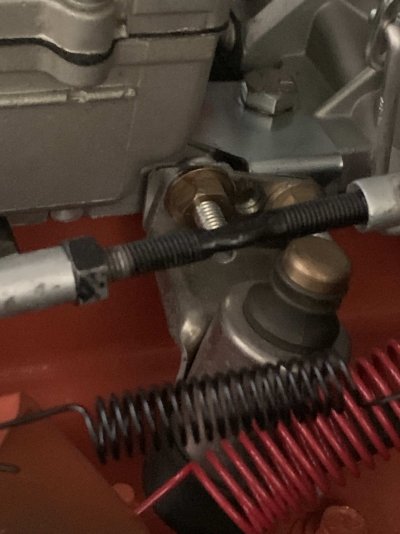 IMG_8165.jpeg IMG_8165.jpeg