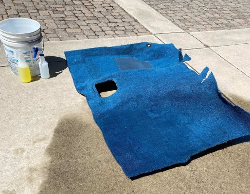 2 Wet Carpet.jpg