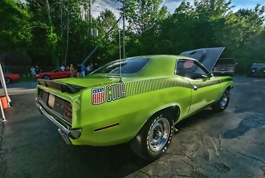 pete potter CUDA.jpg