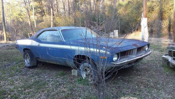 1904023_675783319148240_698974094_n.jpg 1904023_675783319148240_698974094_n.jpg