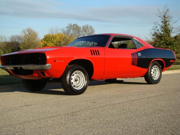 red cuda.jpg