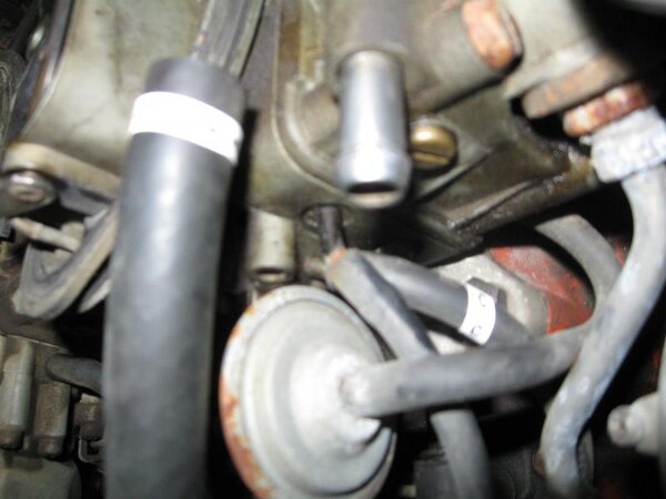 IMG_0012.jpg IMG_0012.jpg