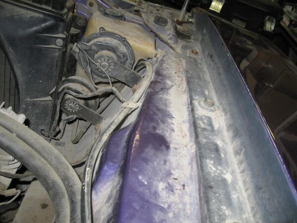 IMG_0043.jpg IMG_0043.jpg