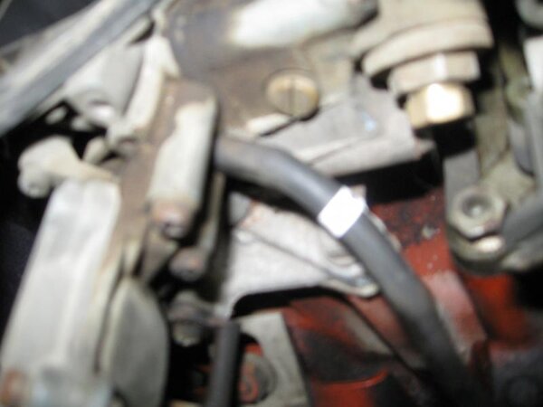 IMG_0013.jpg IMG_0013.jpg