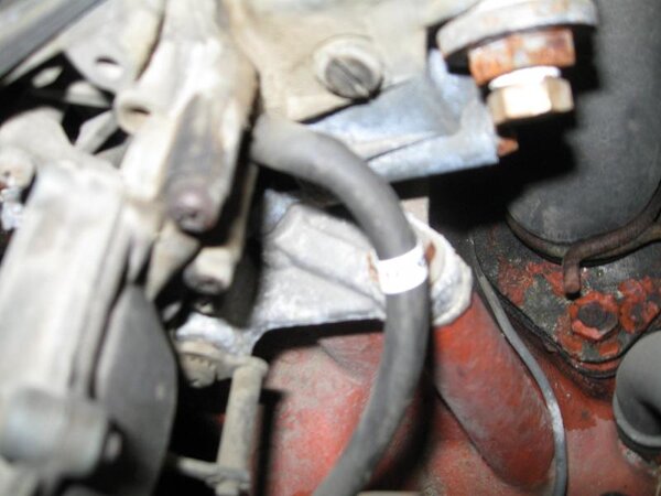 IMG_0011.jpg IMG_0011.jpg