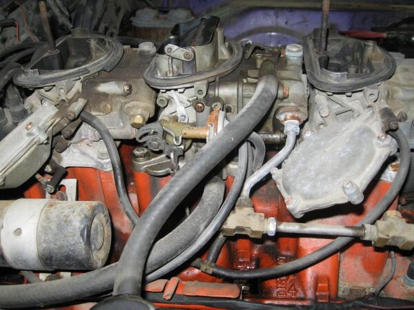 IMG_0010.jpg IMG_0010.jpg