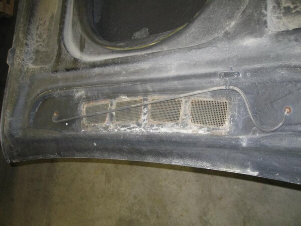 IMG_0050.jpg IMG_0050.jpg