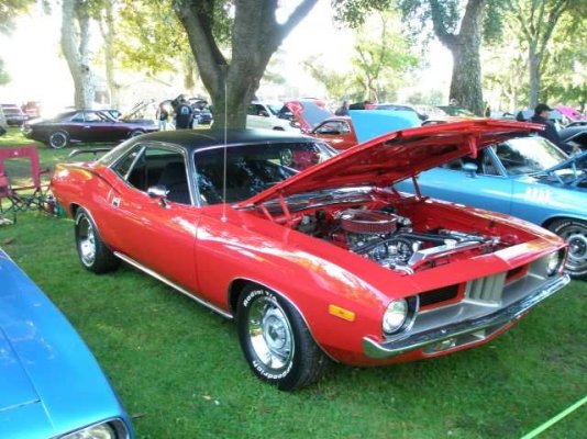 PA030029 (Small).JPG